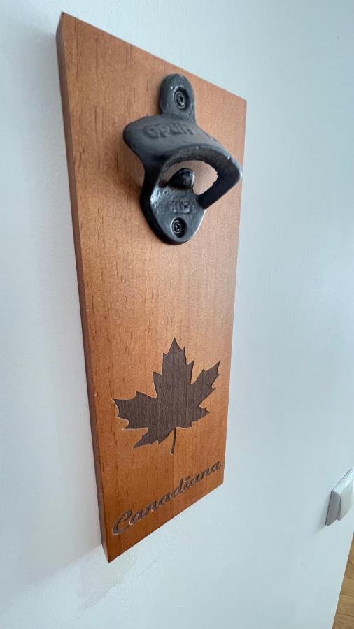 Appartamento Maple Braşov
